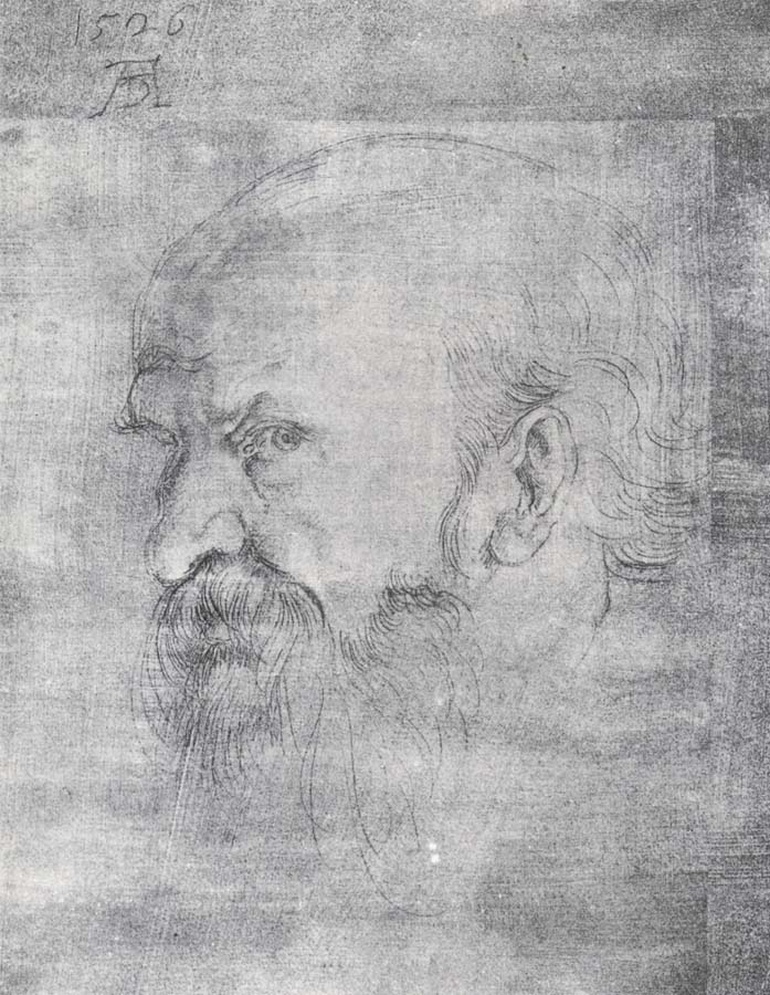 Albrecht Durer The Head of St.Paul